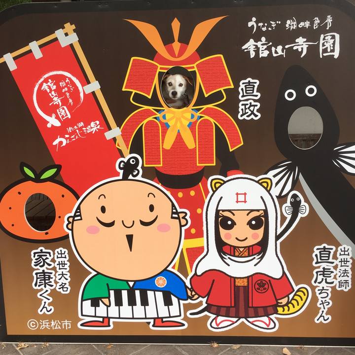 E63764e6 eecd 44ac bc56 c28fbfa2ef29