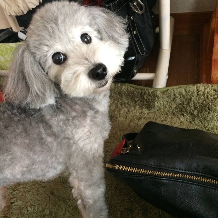 E6376a92 b379 4001 b07b 298623838c79