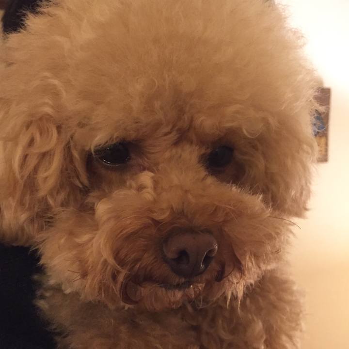 E63acca3 6d6c 47ef 8470 bb367273cea9