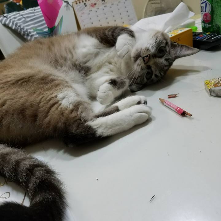 E63b4063 dba4 43d3 ad62 bf90849614e4