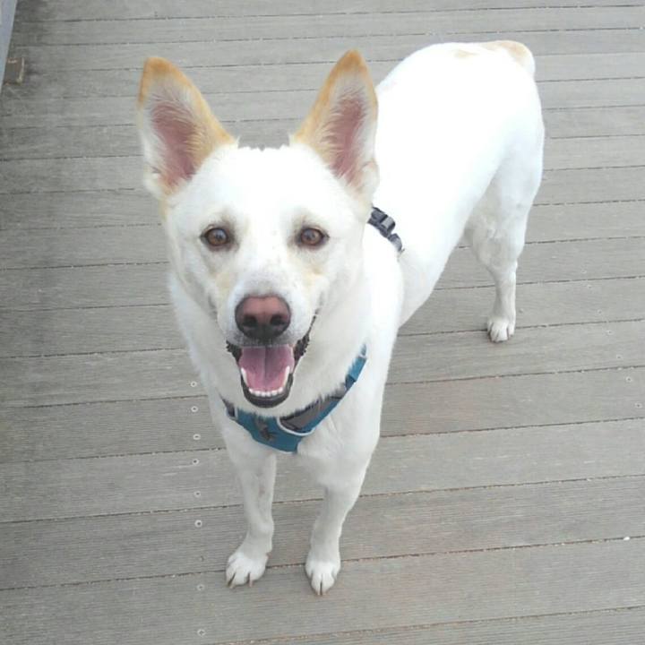 E63bb166 ec17 4892 94c3 8204fec6c359