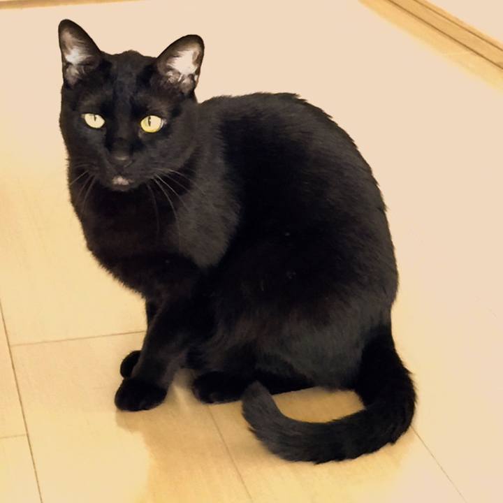 E63bc893 2949 44f0 9a72 50c9c27083a3