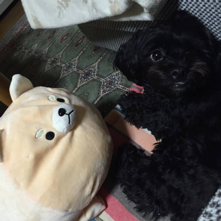 E63bd5c7 fda9 42ff 9565 0fa073dd3221