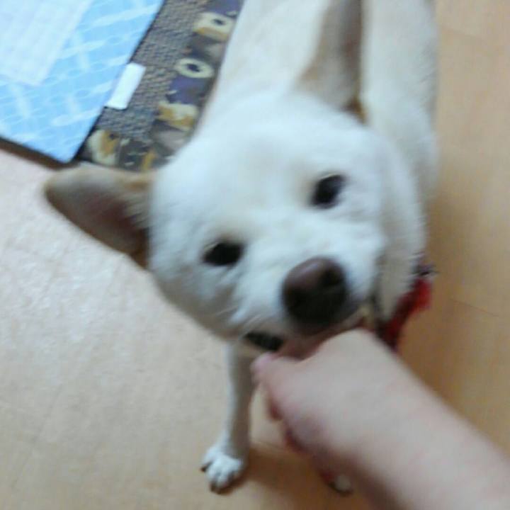 E63cba47 06ba 416d 857b 2e740f92cc83