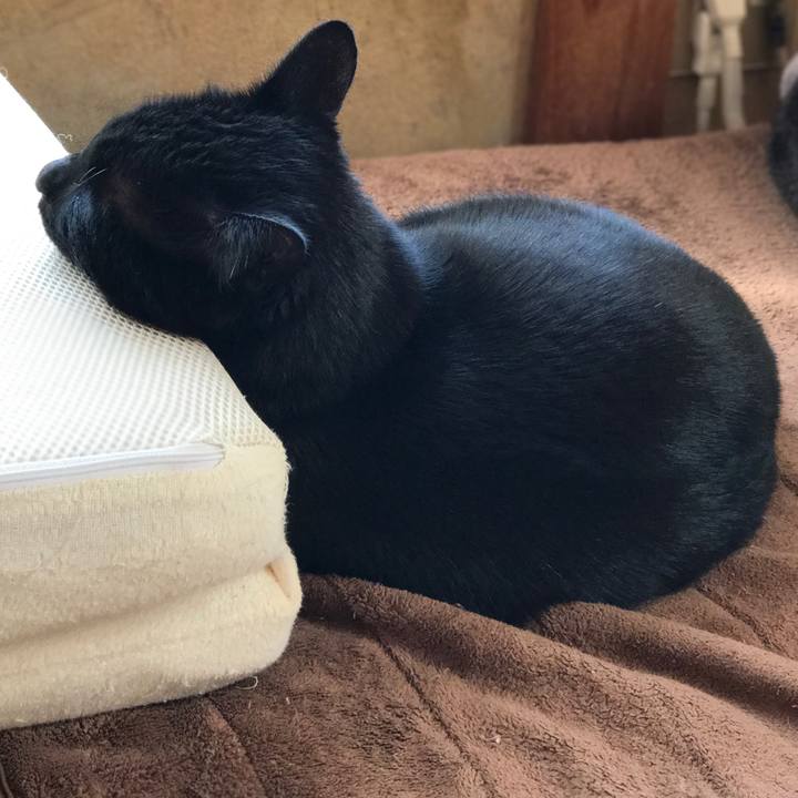 E63d0a46 acd9 46b8 b2f2 37c33b1d3881