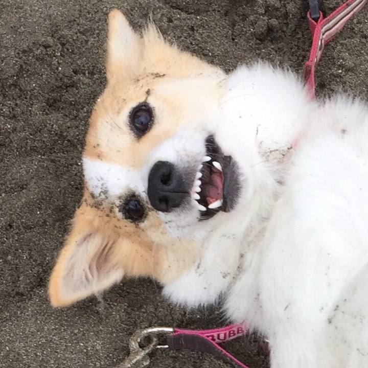 E63d1faa 2fbf 4f08 a0d7 c20d0fd4bccd