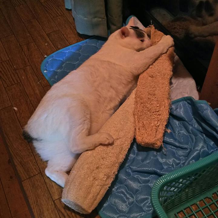 E63dbf38 887b 4f2a 8abc bd7d38f19eba