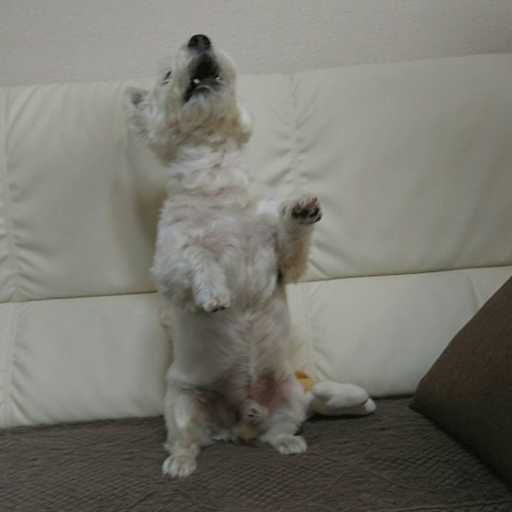 E63dee39 bc9e 42ab bd37 07556edeea5e