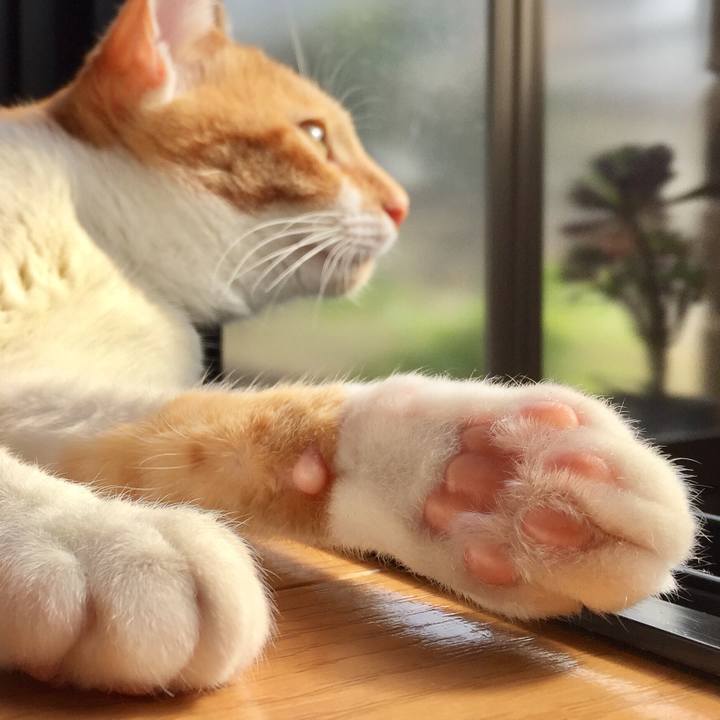 E63e5a6b d6ae 4907 9f12 9589314d7242