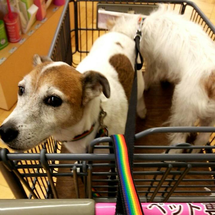 E63e8f9f 7908 421b 83ae ddfd156dd594