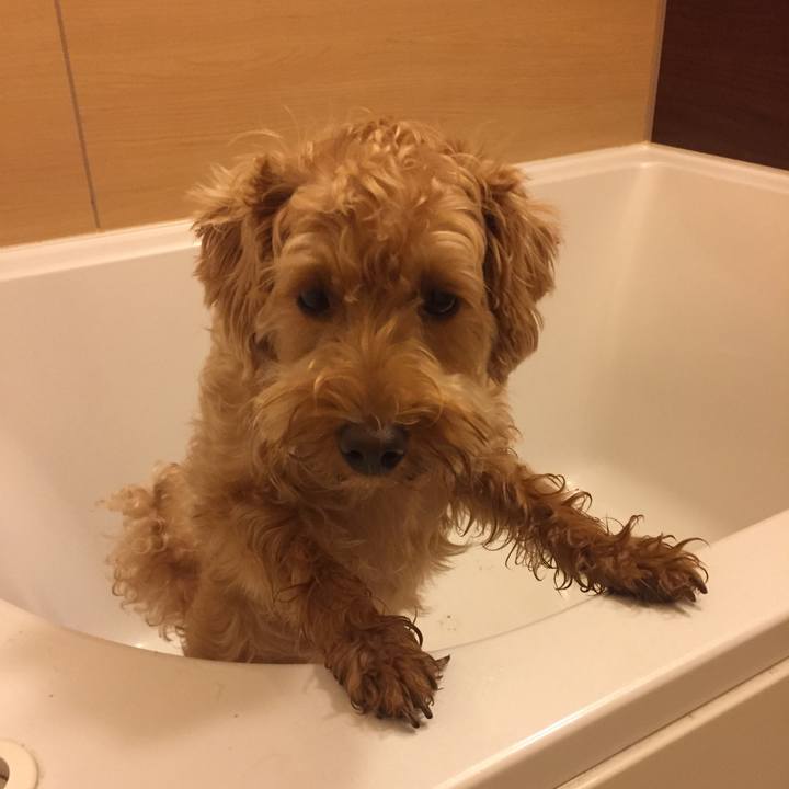 E63e9d9e 1315 411a ad30 d28cbdb1e300