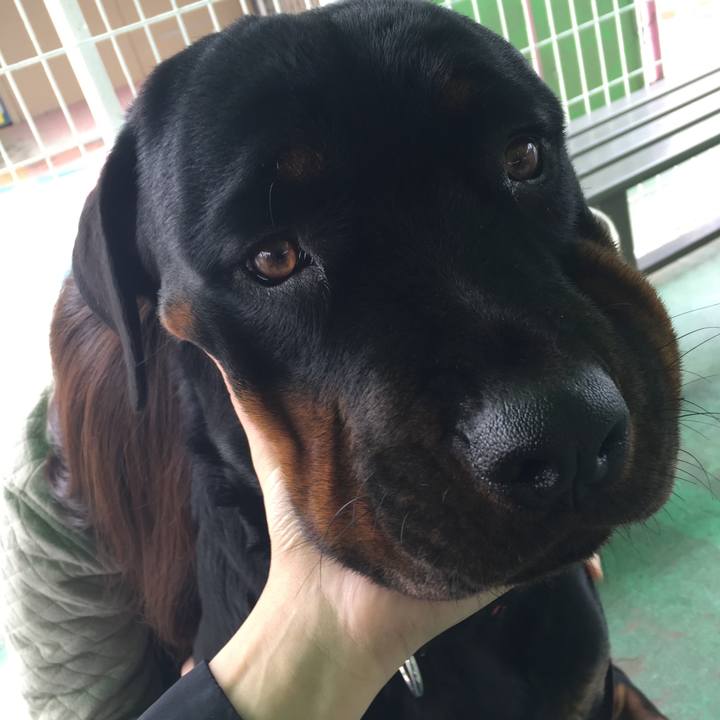 E63eb90f 9bf6 4e3e bff2 0912b43b7b14