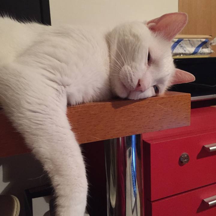 E63eea6e 318a 43b0 bf36 4edb0245e34d