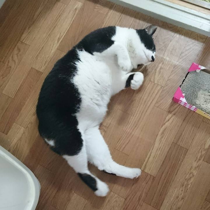 E63f22af ecc1 4df6 9fca ba22fc2bb7a3