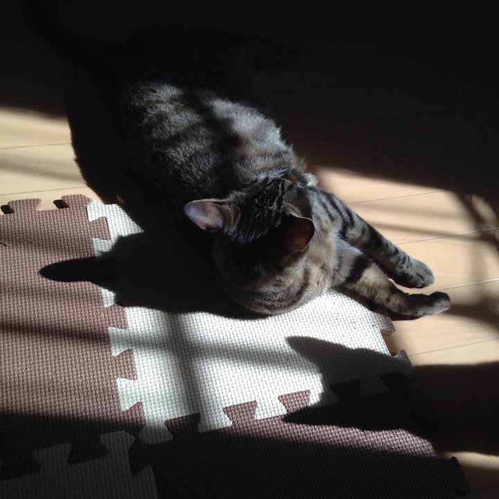 E63f2b85 1526 4406 9cd8 8d6bf76a5a14