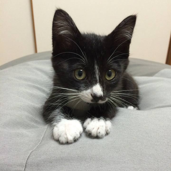 E63f4fec d8eb 454a 9c56 4e4dadcf763d