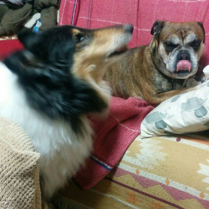 E63f78d7 8cd1 4726 9f54 18ca178076ea