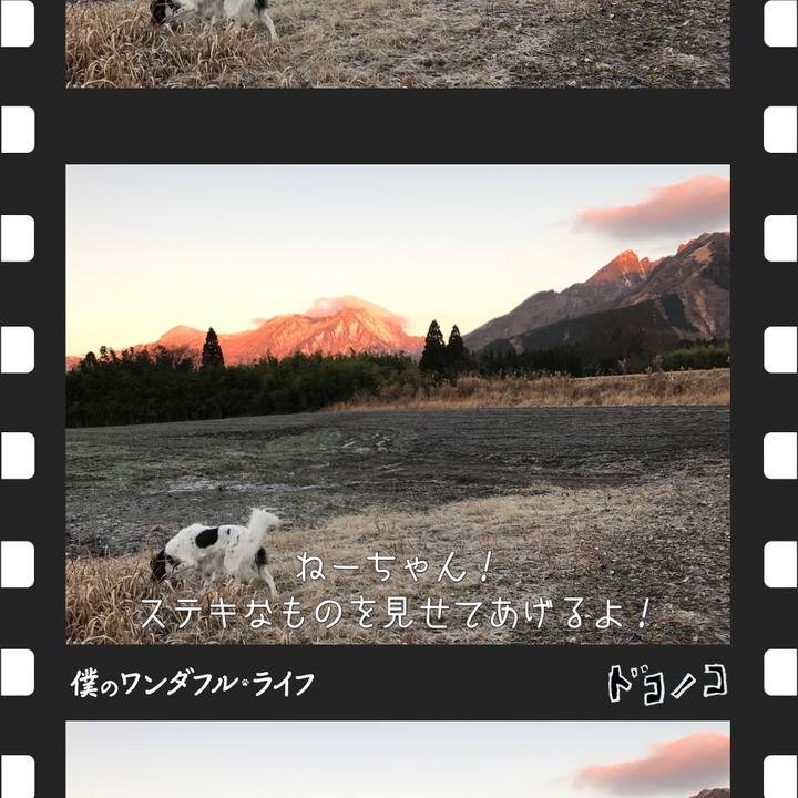 E63fd0dd fdf5 4dcb bbef b2e1dcf289be