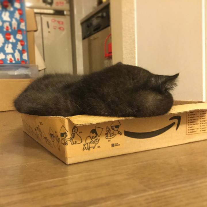 E63fdf33 6620 40a7 afbe 95694f145b2d