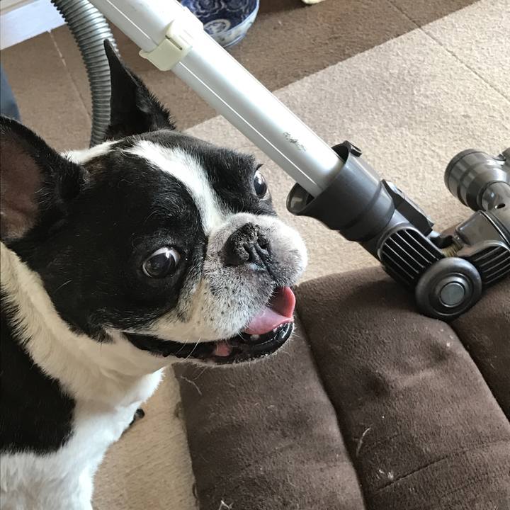 E6400832 c734 425e b0ad ddd0fe86f14c