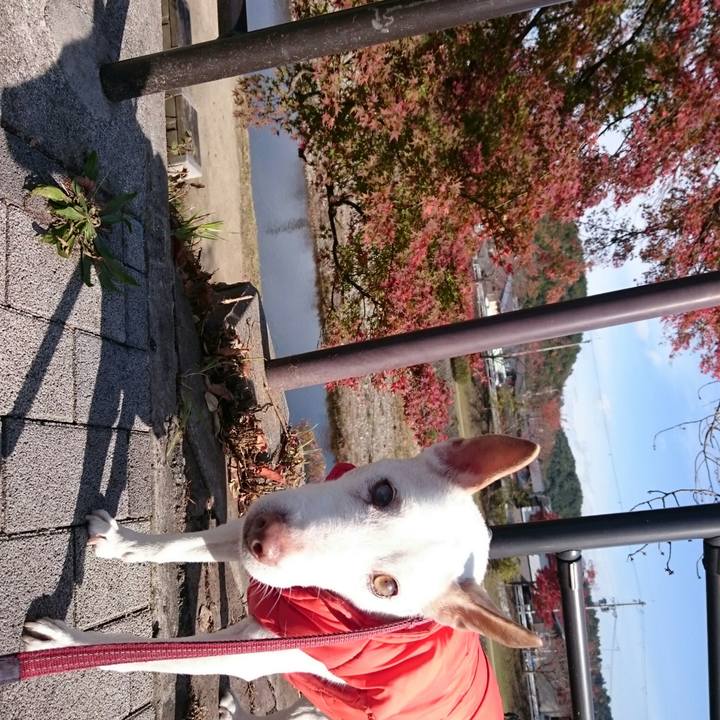 E640365e d692 4caf 9d58 e4bdae82ac02