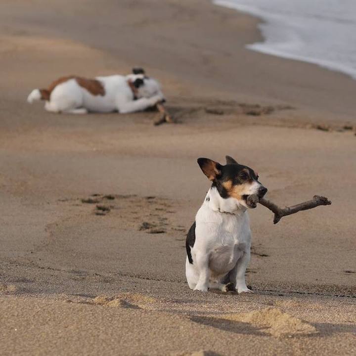 E6403a11 5ecb 4258 aaf5 18fd859ef9b7