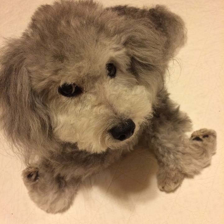 E640c09c d42f 4552 b536 641dacc7c683