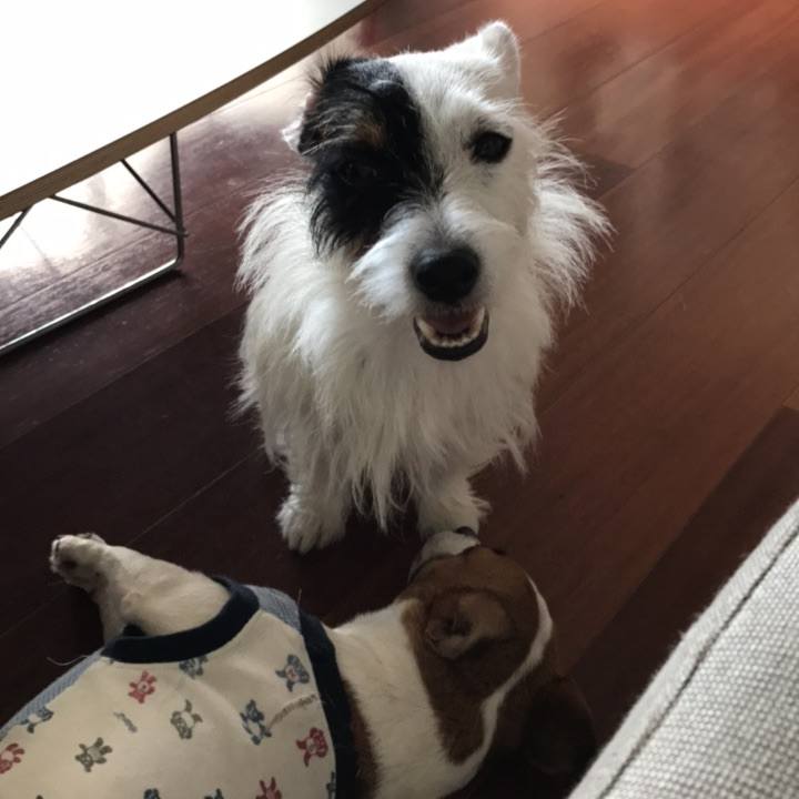 E640dbaa 2a60 4758 94cb 030089a03475