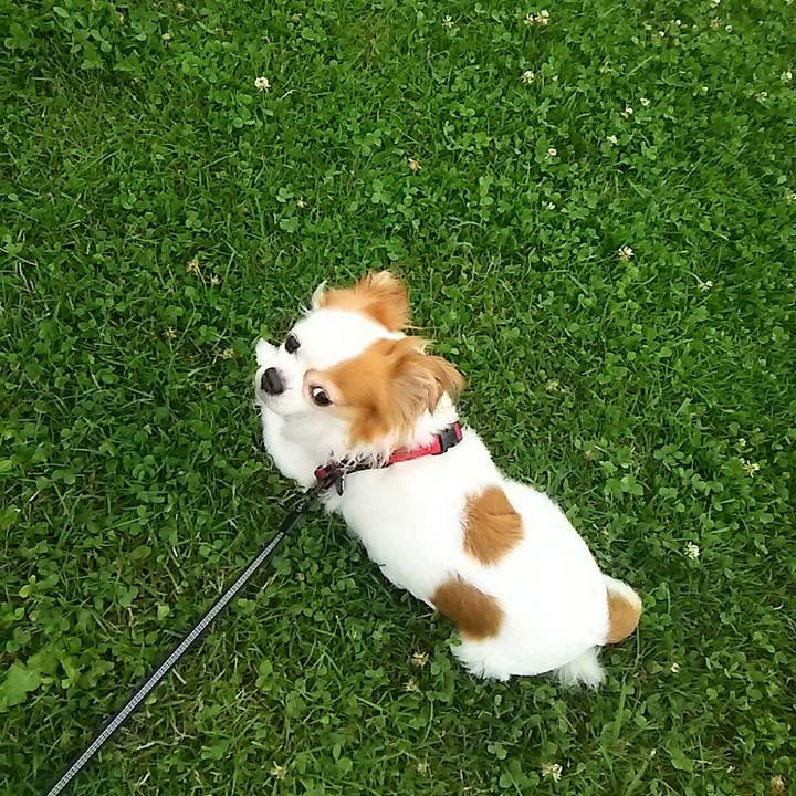 E6413c32 607c 4cdc 9971 f2ce79174253