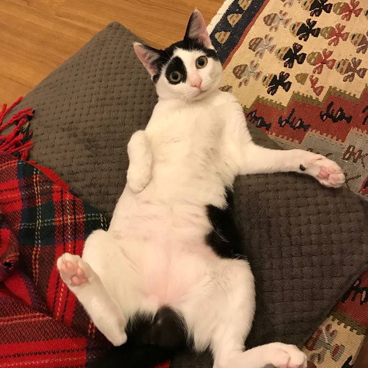 E6413e75 60f3 4ebd af9f 4520d75fd843