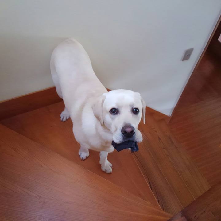 E641ddce 6f3b 45d3 93dc 91f5f907a570