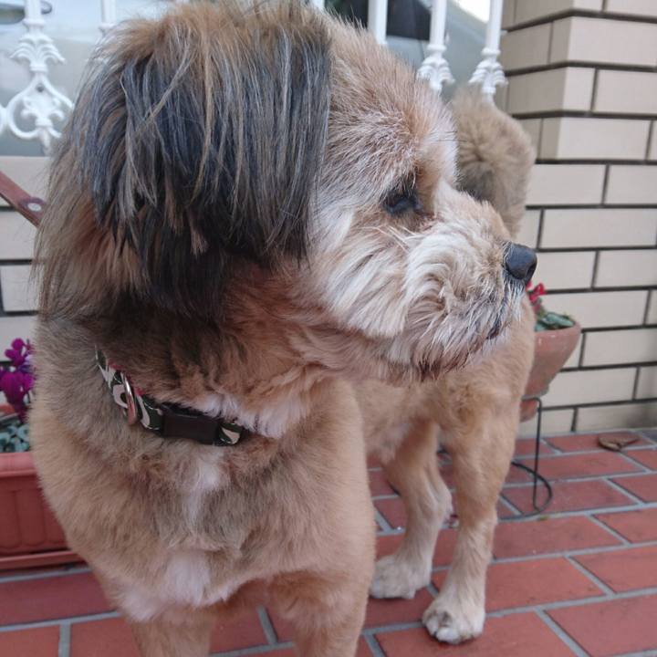 E642e716 add6 44e8 a34a d9557ce302a3