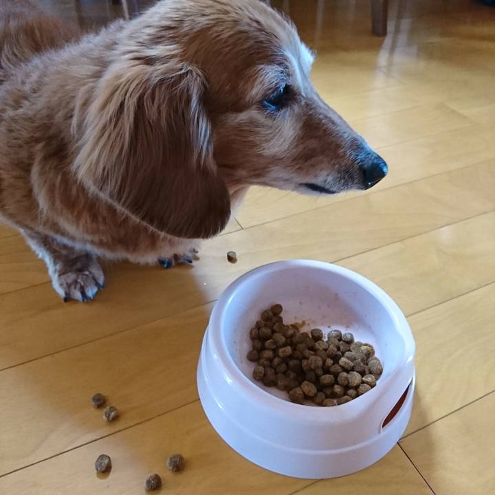 E6437a44 5712 44a0 a6ac 9668f7f14c67