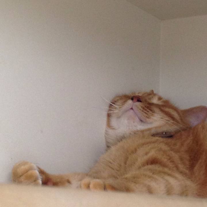 E643819c 7953 48ee af0a 69ce508f3aaf