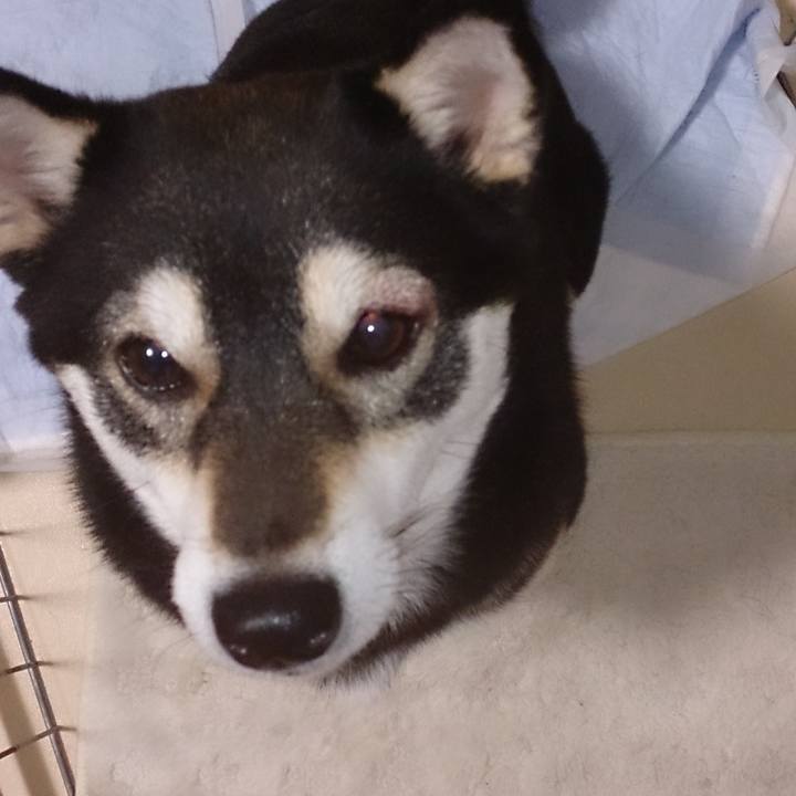 E644f87f 7f84 4d18 a50f 105f899b2f67