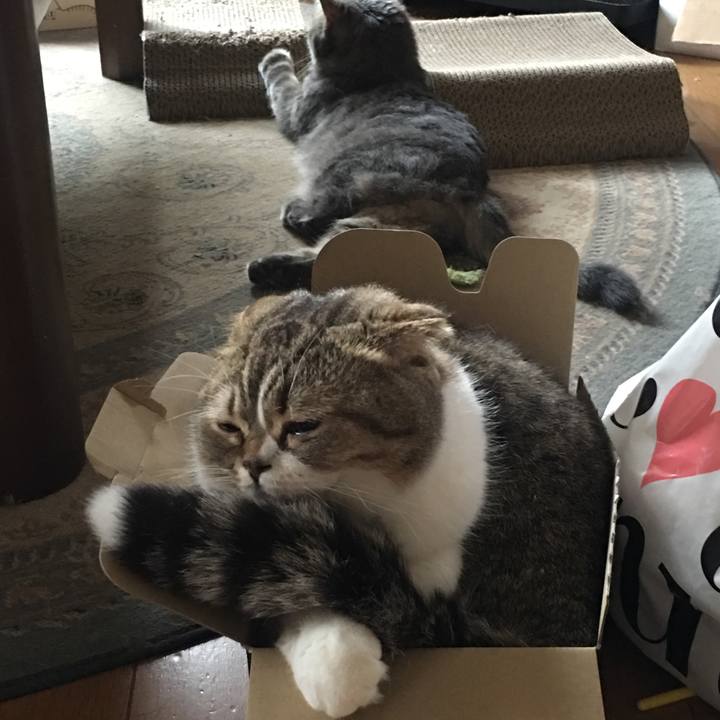 E645dab1 205b 4375 a895 13b998a3050b