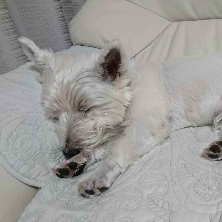 E6462735 54f2 4688 88c1 6d1d84512096