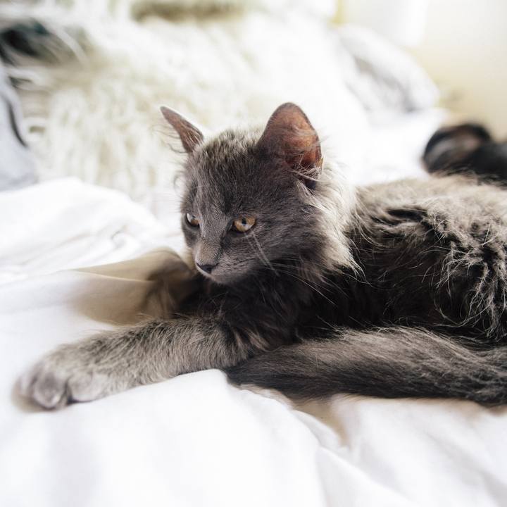 E646bdc0 9259 4745 8a63 dfabb1c981c0