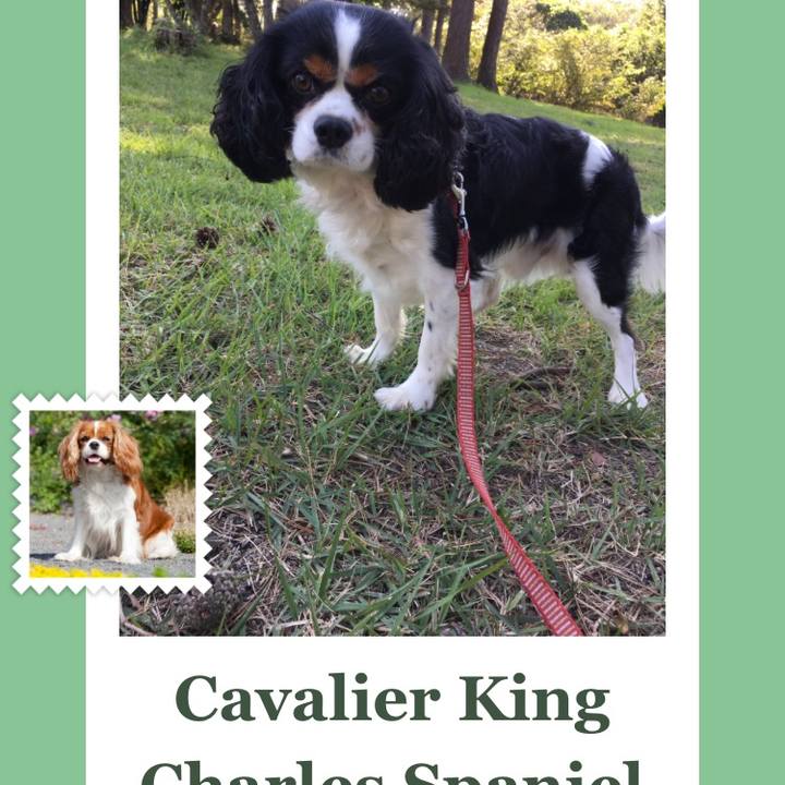 E646ed40 d935 4cdb b006 a469fd881ad7