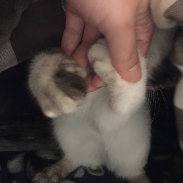 E647b897 42e8 4b91 958c 094567faeac7