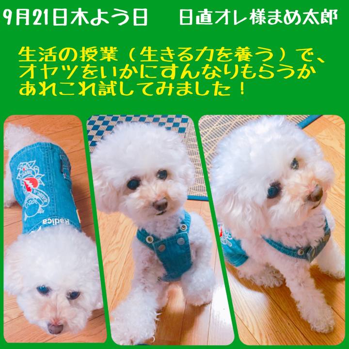 E647f375 bf71 4202 8673 f1374a9f95c6