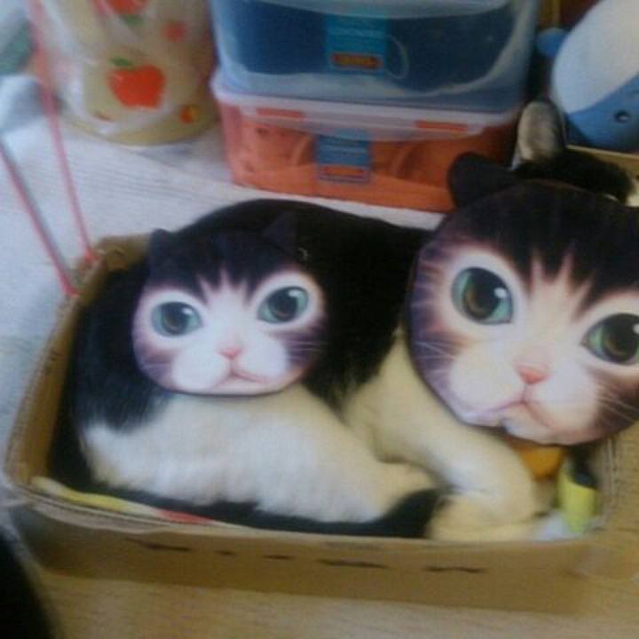 E6488388 639c 4b4e b81d a70204fc284f