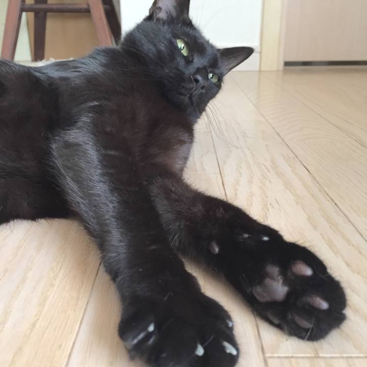 E6491c10 116f 4e43 b537 d1e56438fdf1