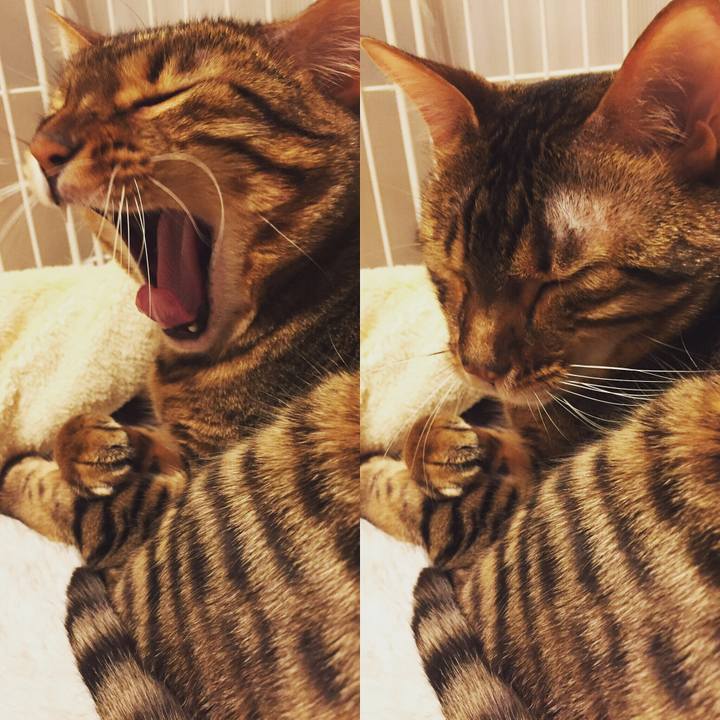 E6495497 b5f6 4865 94bb 813ef40ea878