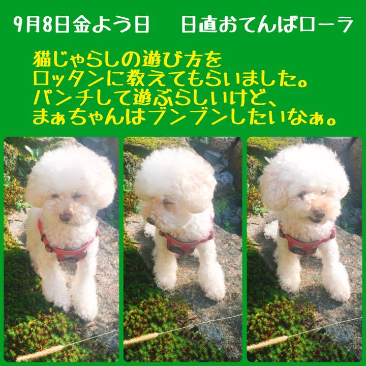 E6496bc3 9d90 4eec b2f7 04eb29426357