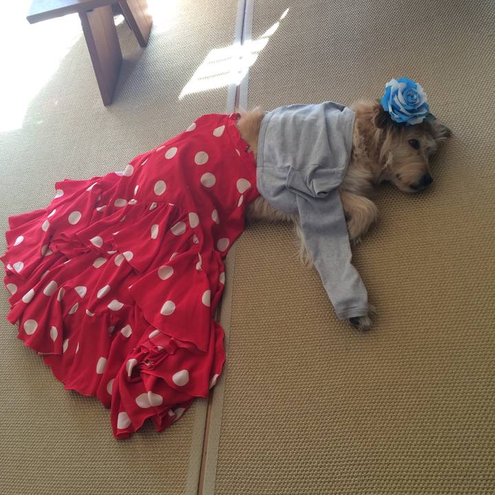 E64970a8 6dae 41c2 8fcf 4e83a3d32a42