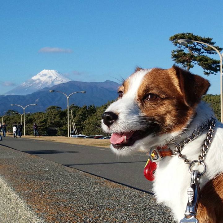 E649d874 0dab 41df 833d 48aec7ff9402