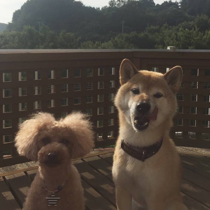 E649d8a0 4035 43a8 8dab 27c87368cbf9