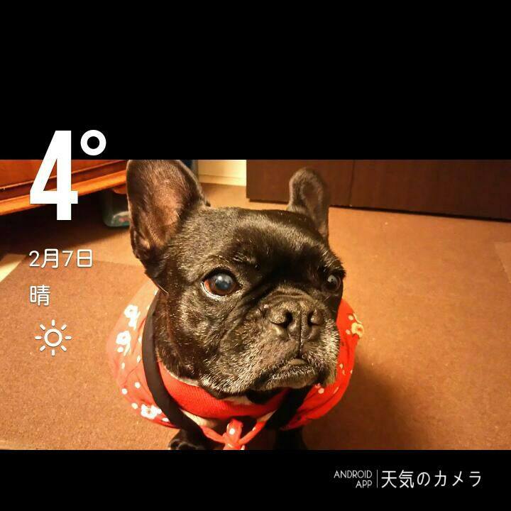 E64a42f7 0cb5 46b2 a0c4 6b73c9d48c9c