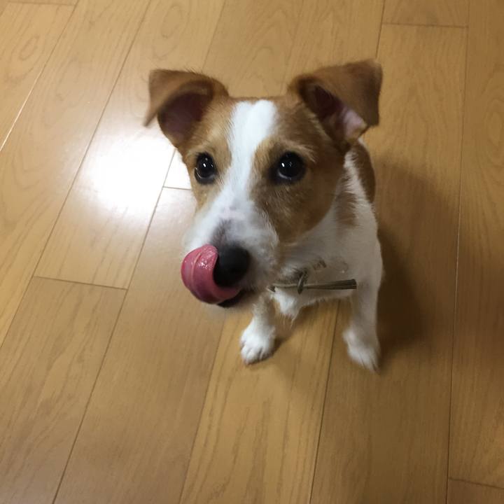 E64a7215 279a 4517 a6f0 cc2e0cee590f